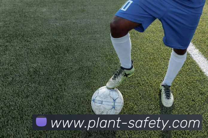 世界杯官网线上平台发展历程